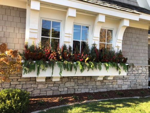 Winter Window Boxes
