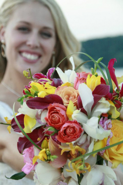 A Myriad of Color!