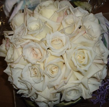 Cream Colored Roses