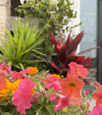 Summer Planter