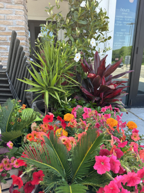 Summer Planters