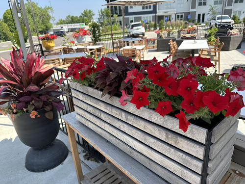 Summer Planters 