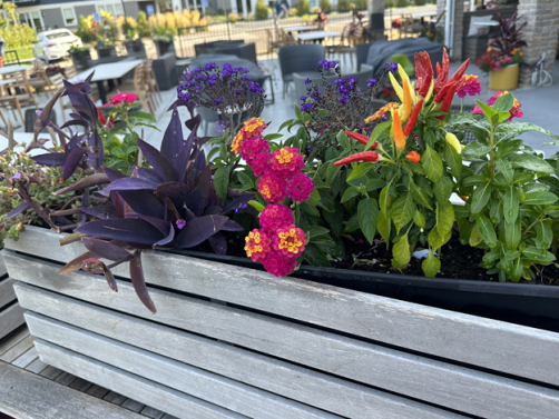 Window Box Planters fall 