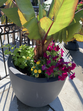 Summer Planter
