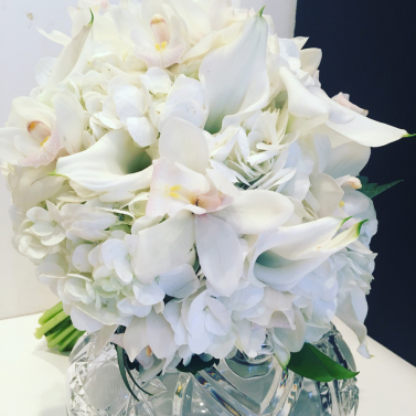 Purity White Purity White
