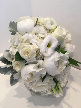 Whistful & White