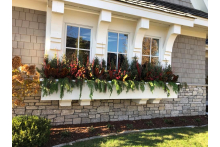 Winter Window Boxes 23559529_10154838040640689_8684753291676977883_n.jpg