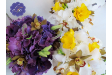 Purple & Yellow 27332264_10155016298555689_6536114895782711017_n.jpg