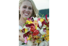 A Myriad of Color! angeboq.jpg