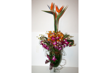 Orchids and Birds arrangement.jpg