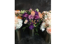 Royal Purple brights.jpg