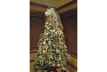 Crystal crystal_tree.jpg