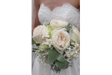 White Bride gardenroses.jpg