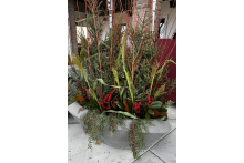 Large Planter Hazelwood Restaurant hazelwoodlargeplanterwinter.jpg