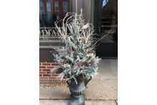 Excelsior Winterscape ironurnmeridianwint.jpg