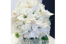 Purity White purewhite.jpg