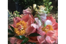 Spring has Sprung! springflowp2019.jpg