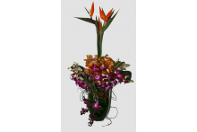 Memorial Flowers, Tropical trtopical.jpg