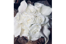 Purest White white.jpg