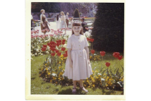 Mirabel Gardens xdttulips.jpg