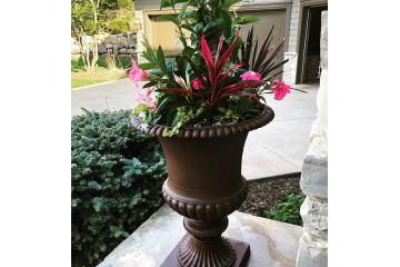 Gideons Point Early Summer