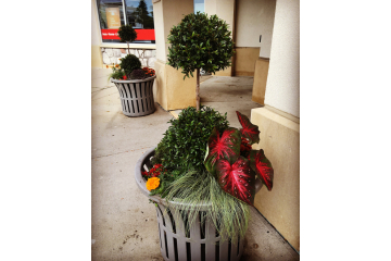Autumn Commercial Planters