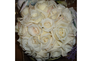 Cream Colored Roses