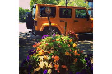 Tommy's Tonka Trolley, Excelsior