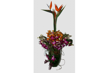 Memorial Flowers, Tropical