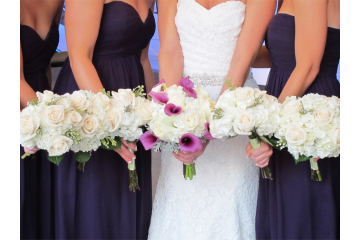 White with Purple Accent