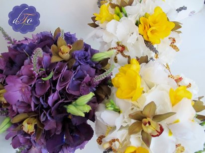 Purple & Yellow