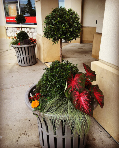 Autumn Commercial Planters