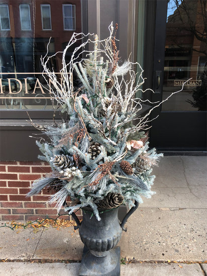 Excelsior Winterscape